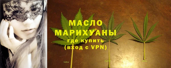 прущие грибы Аркадак