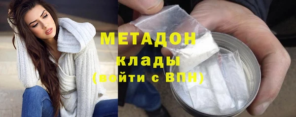 прущие грибы Аркадак