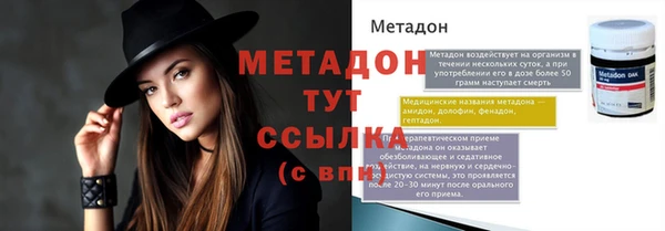 прущие грибы Аркадак