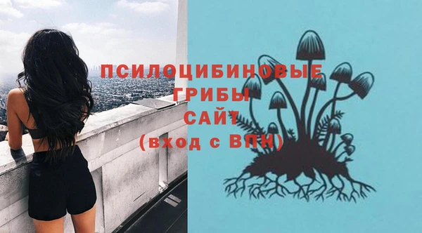 прущие грибы Аркадак
