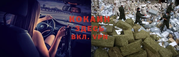 прущие грибы Аркадак
