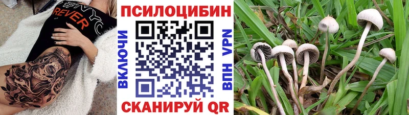 Псилоцибиновые грибы Magic Shrooms  darknet какой сайт  Добрянка 